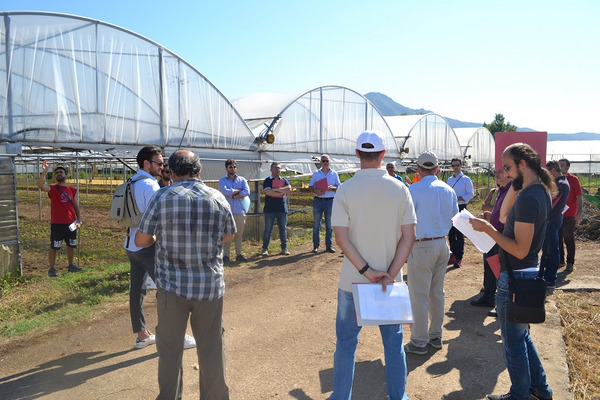 A group of people standing in front of greenhouses. 